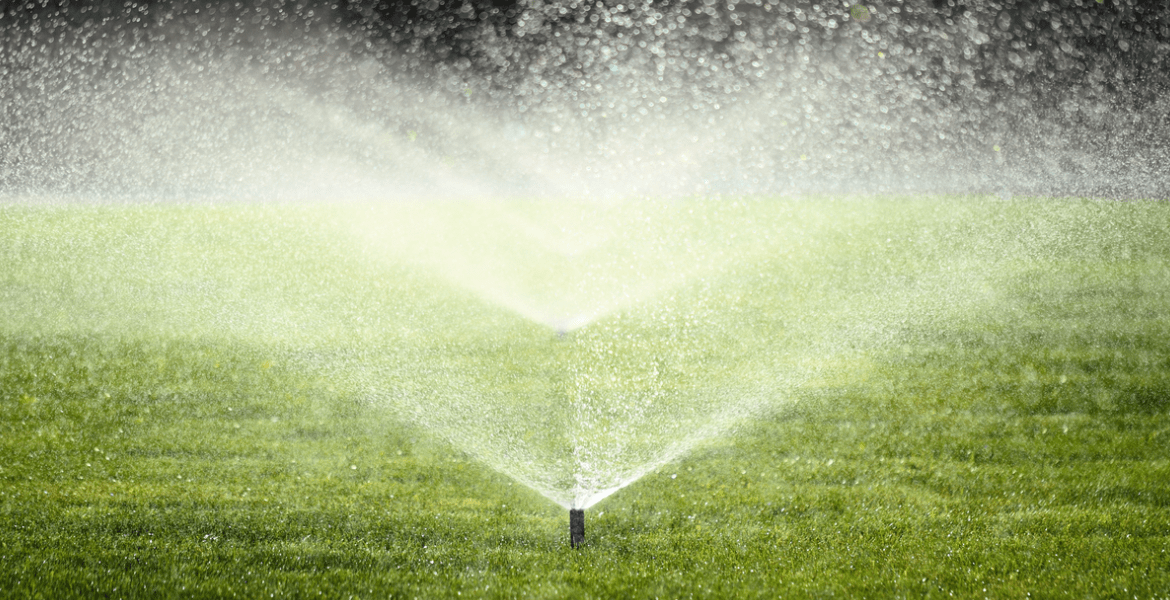 Alvarez Remodeling and Landscape